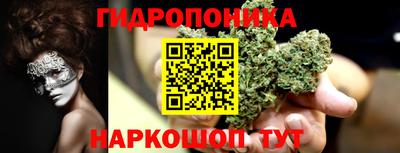 индика Малгобек