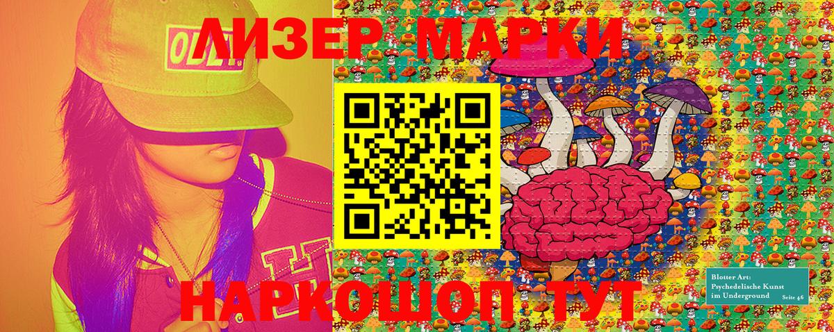 Волхов  Марки NBOMe 1500мкг  Вход с VPN  Марки NBOMe 1500мкг 