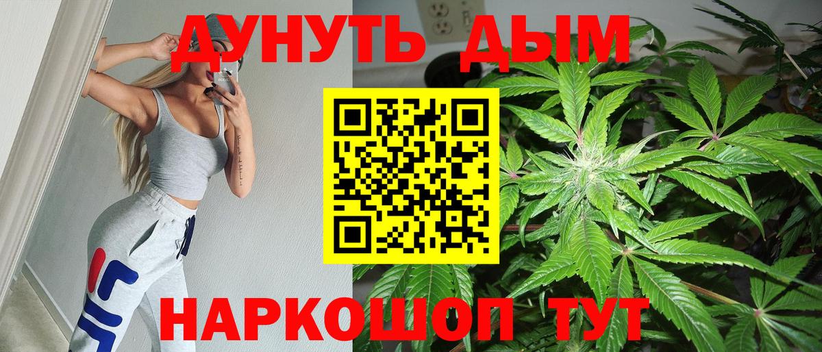 Каннабис марихуана  Бошки марихуана планчик  Волхов  Вход с VPN  Канабис сатива  Бошки Шишки планчик 